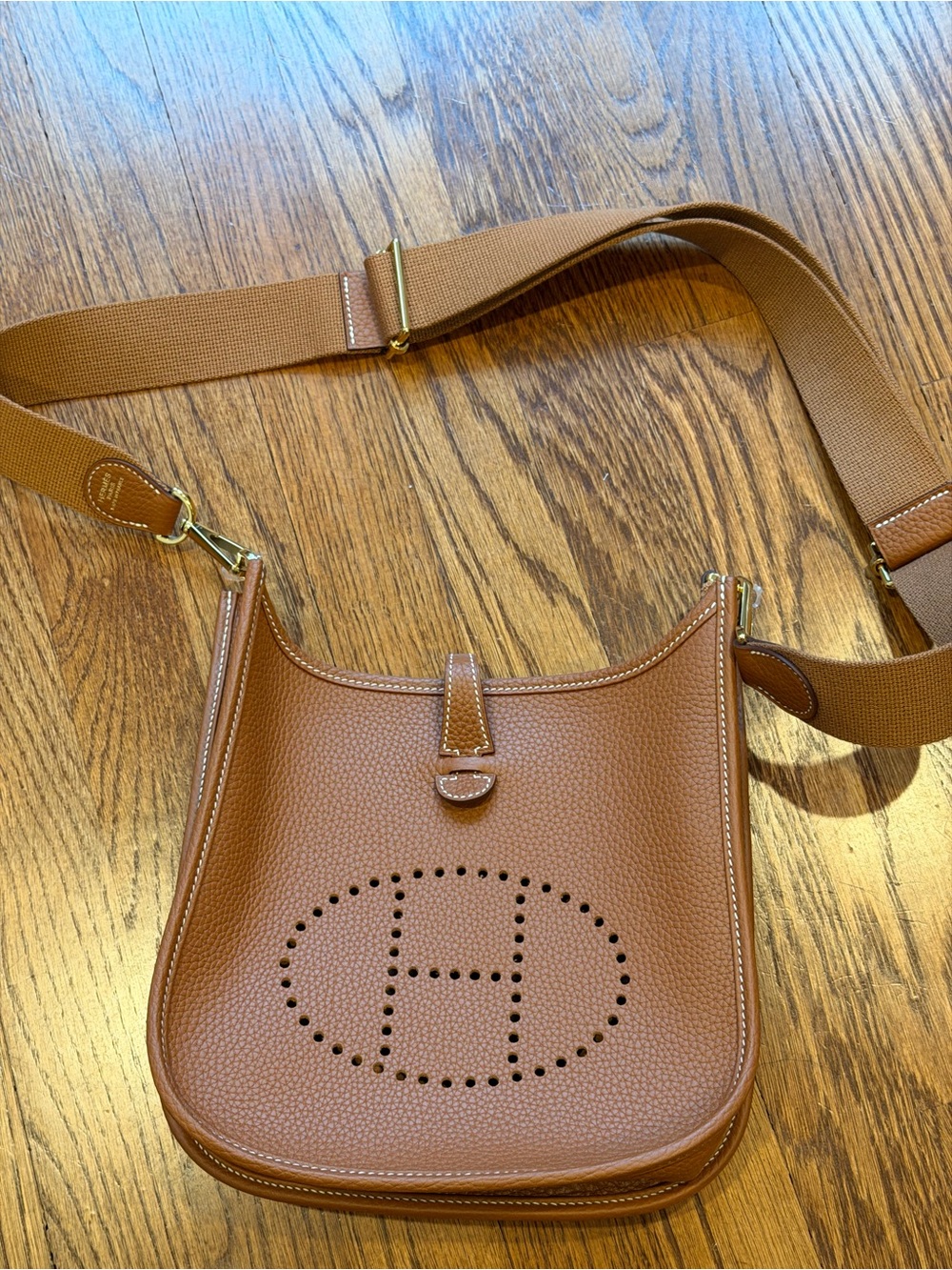 Evelyne Crossbody Bag in Gold/Tan